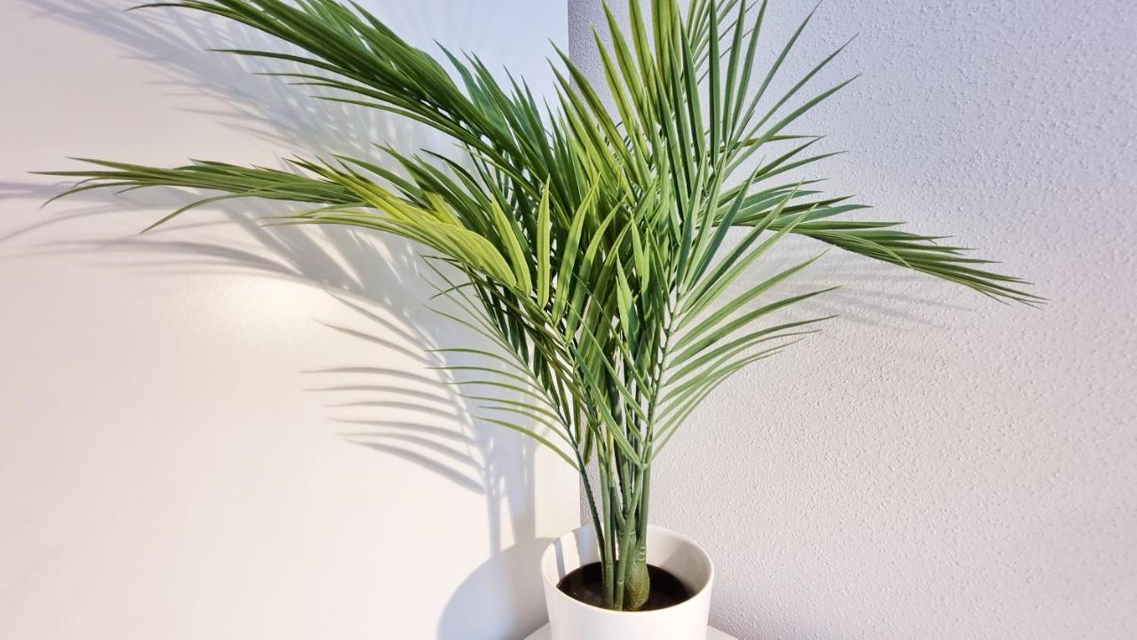 Chez Jm - Calme - Chic - Fibre - Relax Bnb Μυλούζη Εξωτερικό φωτογραφία